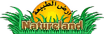logo design example
