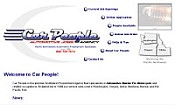 website with content management system 