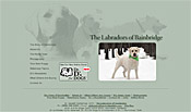bainbridge labs website design